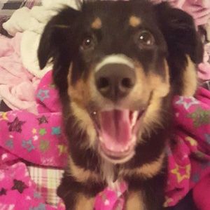 Meet your Posher, Jillian